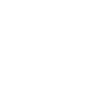 YALE_Logo_Appenfelder Kopie